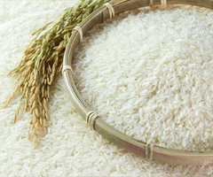 Dự báo xuất khẩu gạo năm 2015 sẽ khó khăn
